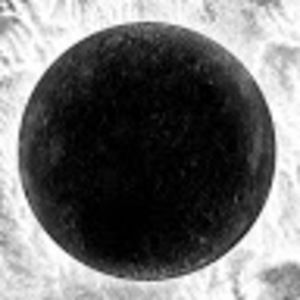 Meet your Posher, Will